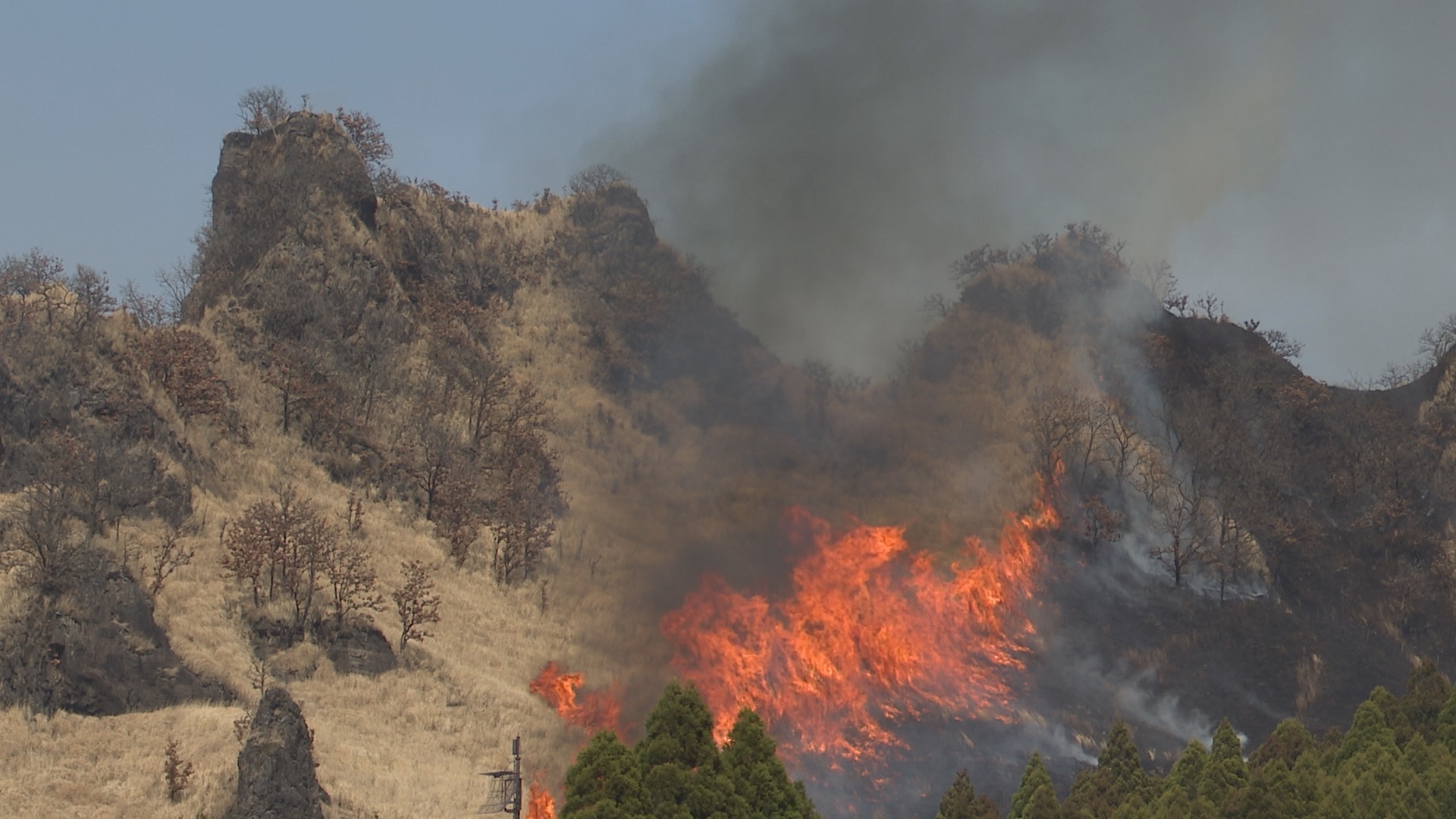 らくだ山の野焼き