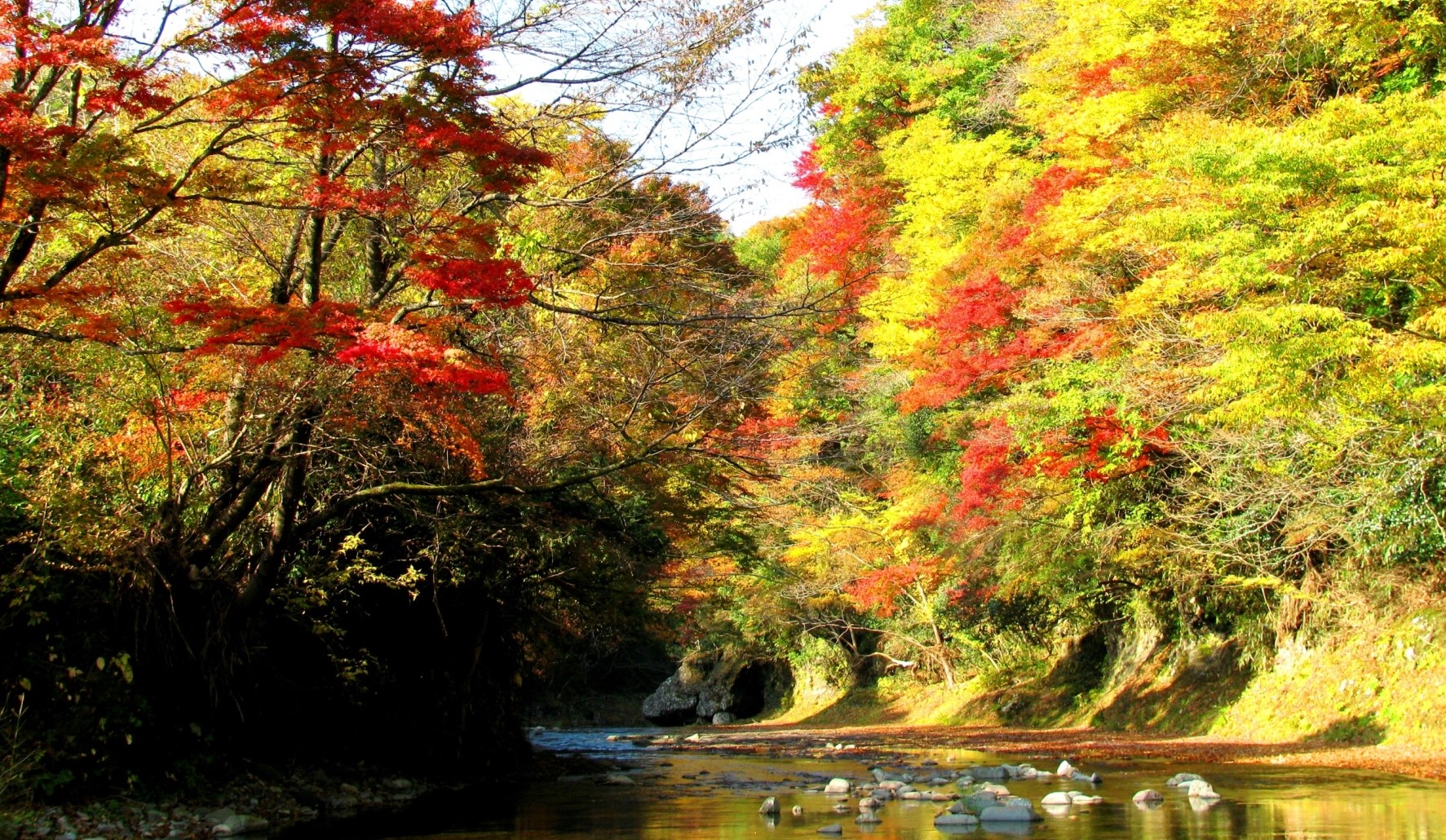 川上渓谷の紅葉