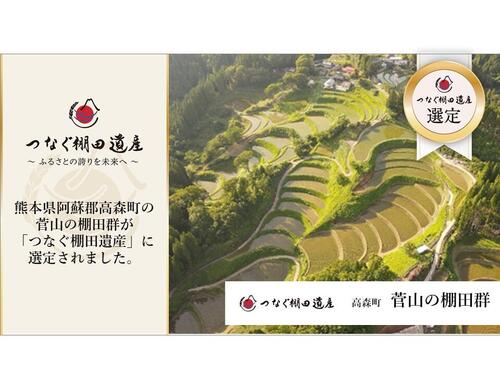 菅山の棚田群