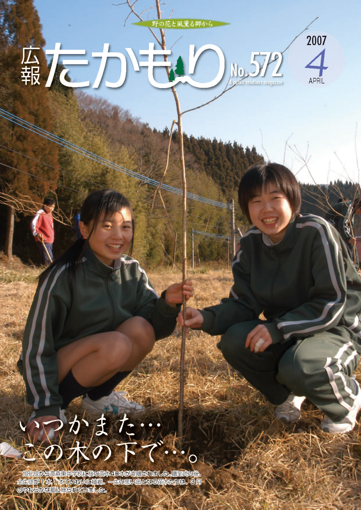 表紙の画像