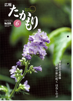 表紙の画像