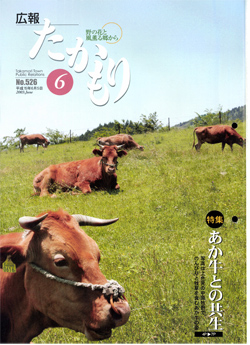 表紙の画像