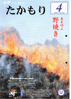 表紙の画像