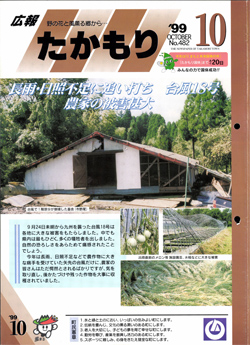 表紙の画像