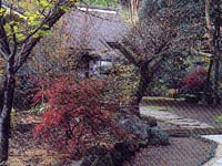 含蔵禅寺の金木犀の画像