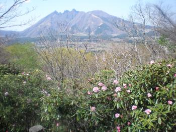 阿蘇野草園の画像