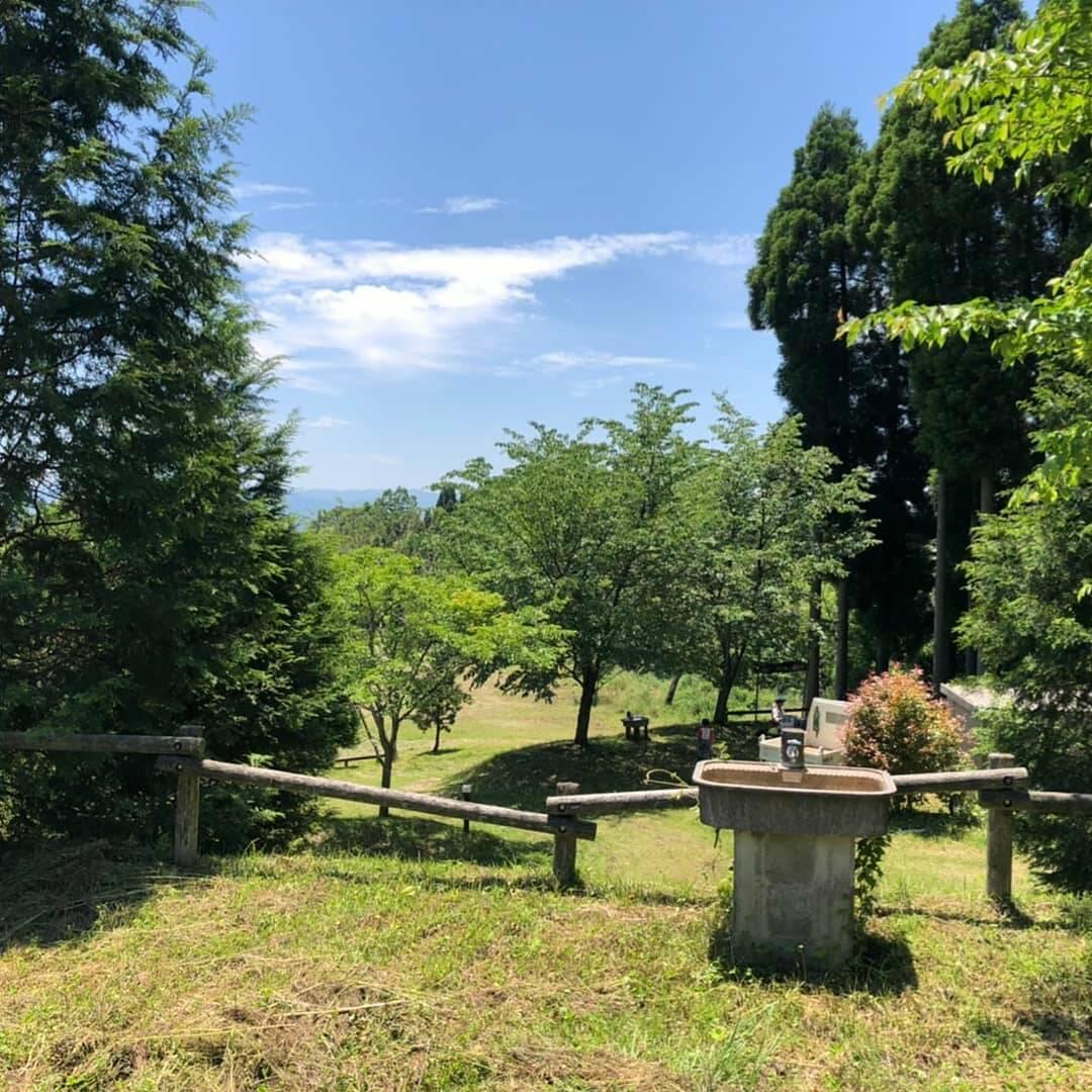 緑静苑キャンプ場の画像1