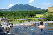 月廻り温泉の画像