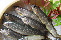 村上養魚場の画像