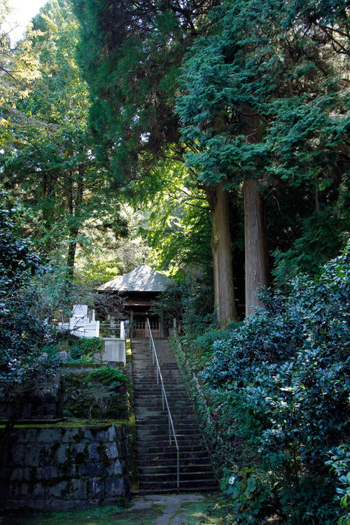 起雲山含蔵寺の画像3