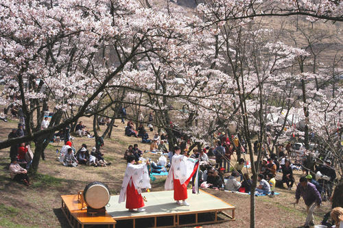 高森峠千本桜（高森自然公園）の画像2