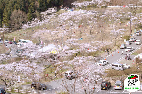 高森峠千本桜（高森自然公園）の画像3
