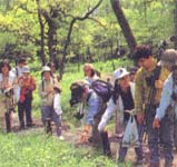 阿蘇野草園の画像