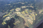 大字菅山の棚田の画像