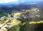 大字津留地区の町中一帯の画像