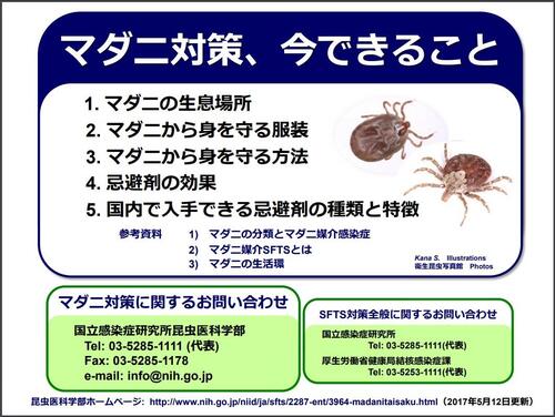 ダニ媒介感染症にご注意ください！の画像