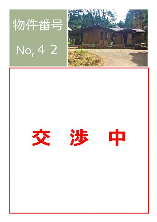 NO42