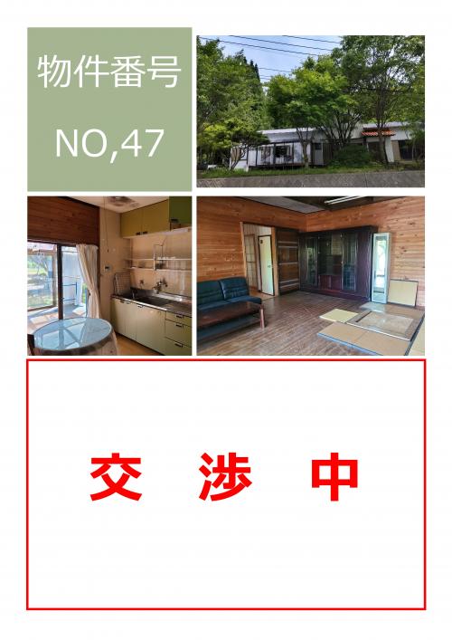 NO.47