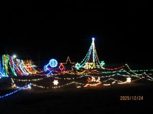 クリスマスツリーイルミネーションの画像