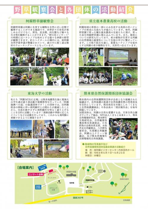 野草観察会と各団体の活動紹介