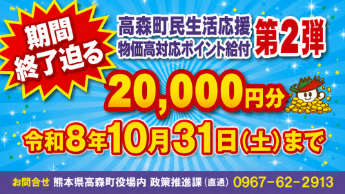 期間限定ポイント利用期限迫るのチラシ
